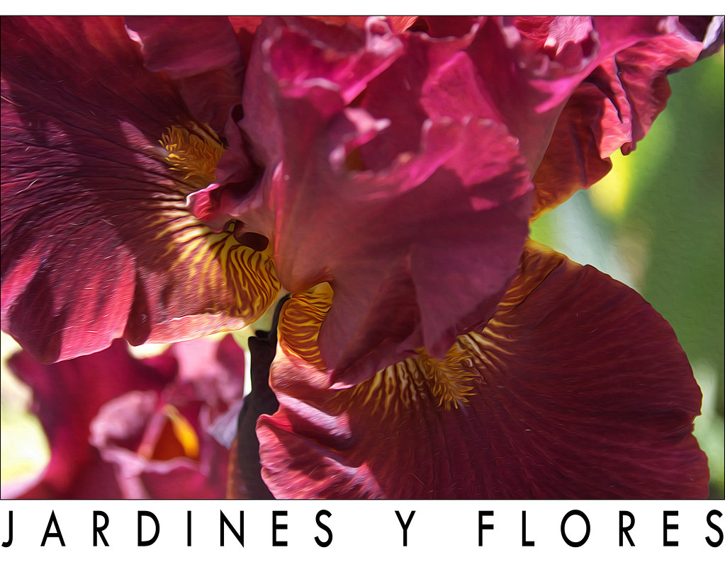 Jardines y flores