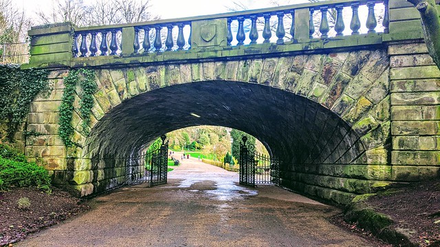 Ivy Bridge at Avenham Park