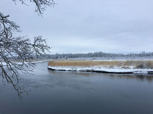 Grand Rapids river in winter | by Conservation Corps Minnesota & Iowa