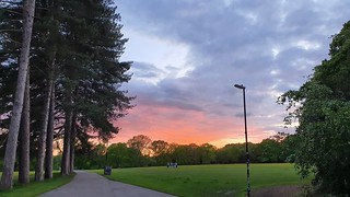 Southampton Common at sunset