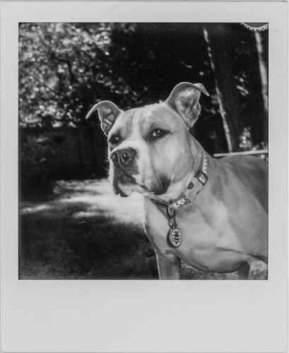 img955c | by sylviagreve