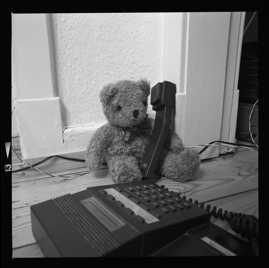 The bear calls a friend. 1994