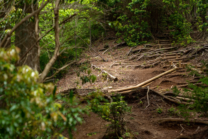 畦ヶ丸の登山道