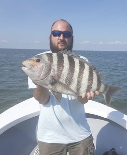 Photo of man in a boat holding a sheepshead