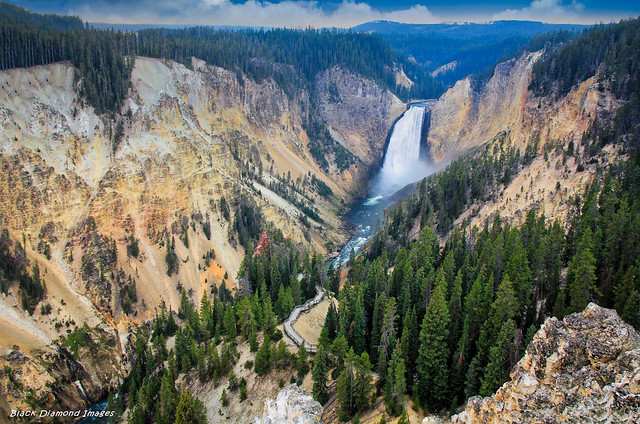 View of Lower Falls from Canyon Lookout Point, Grand Canyon of the Yellowstone River, Yellowstone National Park, Wyoming, USA