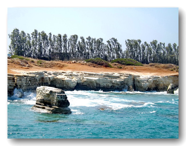 Nature .....Paphos......Cyprus