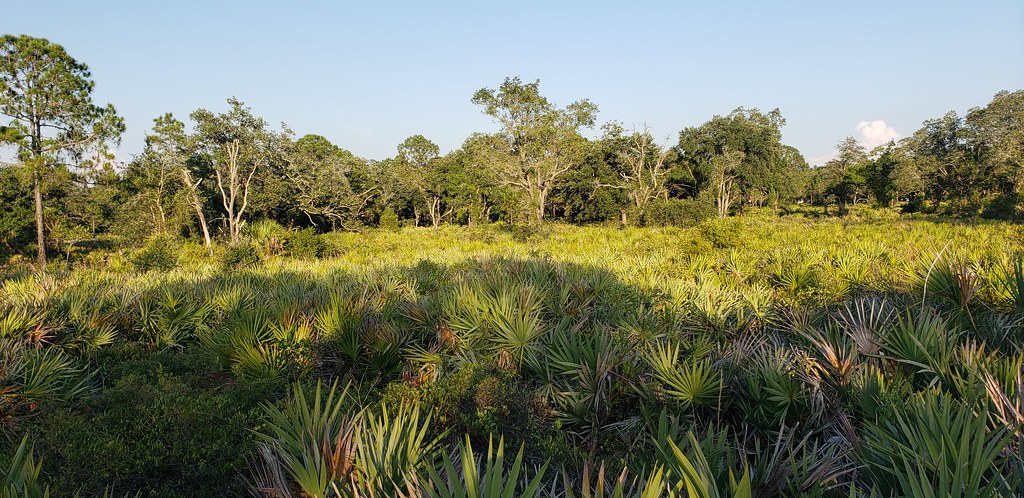 Little Manatee River State Park Trail