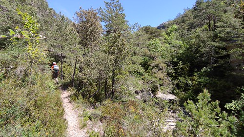 IMG_20210528_130011