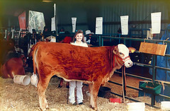 BOOK 15 - 049 -Livestock Show 1991