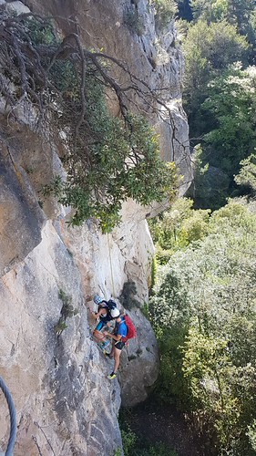 IMG-20210529-WA0236