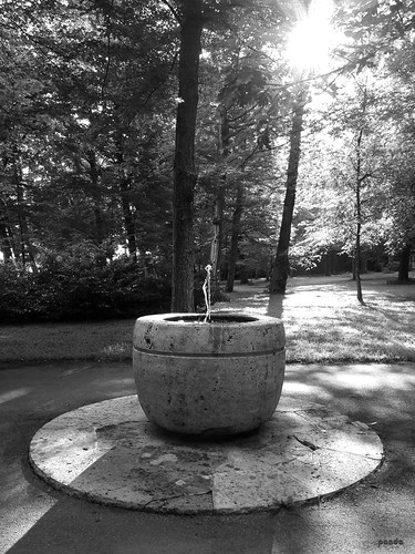 fountain by mknt367 (Panda), outside park forest sunrise fountain blackandwhite bw
