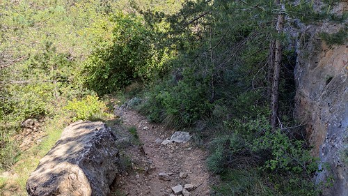 IMG_20210528_120920