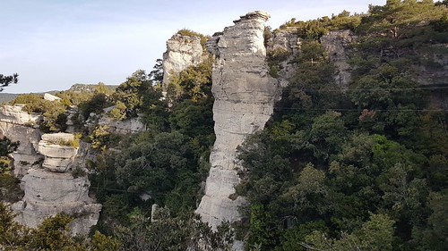 IMG-20210529-WA0165