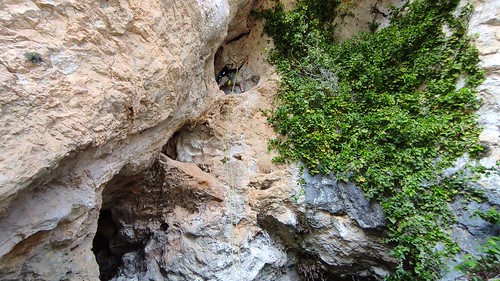 IMG_20210528_172734
