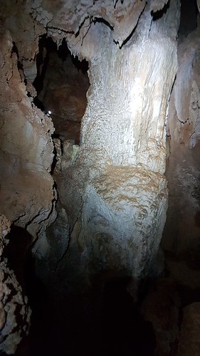 IMG-20210529-WA0218