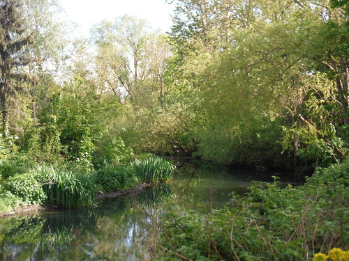 River Brent SWC Short Walk 50 - Osterley Park (Osterley to Hanwell or Circular)