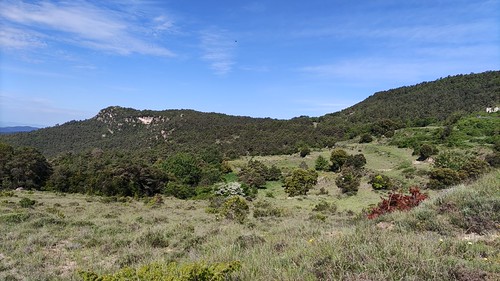IMG_20210528_101228