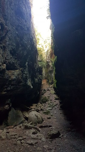 IMG-20210529-WA0205
