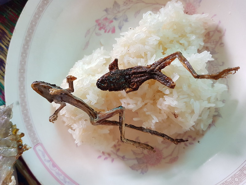 Church lunch - deep fried frog and sticky rice