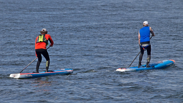SUPs' (Stand Up Paddleboards) in Stockholm