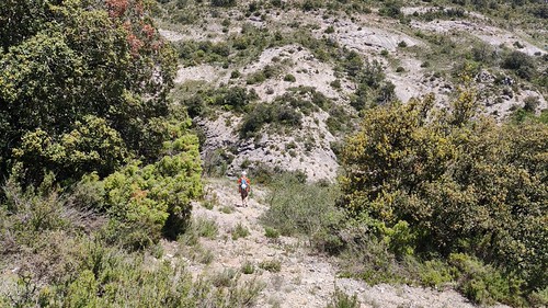 IMG_20210528_133909