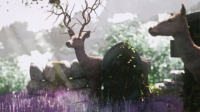 The Lord of The Forest