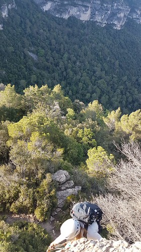 IMG-20210529-WA0161