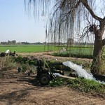 Pumping from tertiary canal (mesqa) into field ditch, Nile Delta, Egypt (1)
