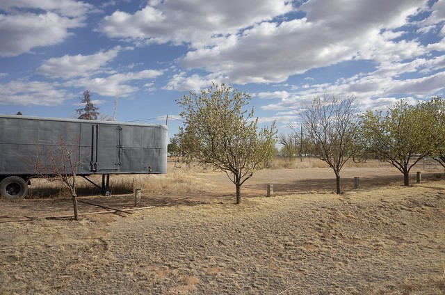 Trailer And Trees