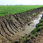 Newly excavated drain, Nile Delta, Egypt