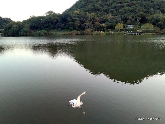 「大湖公園」(Big lake park), Taipei, Taiwan, Jan 24, 2021, SJKen.