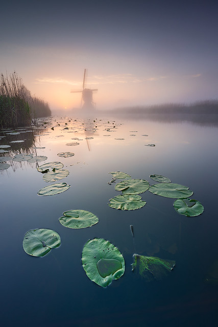 A morning in The Netherlands