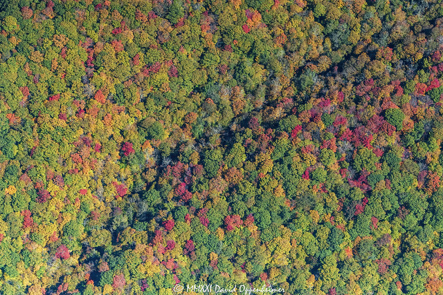 Blue Ridge Parkway Vertical Aerial View of Autumn Colors