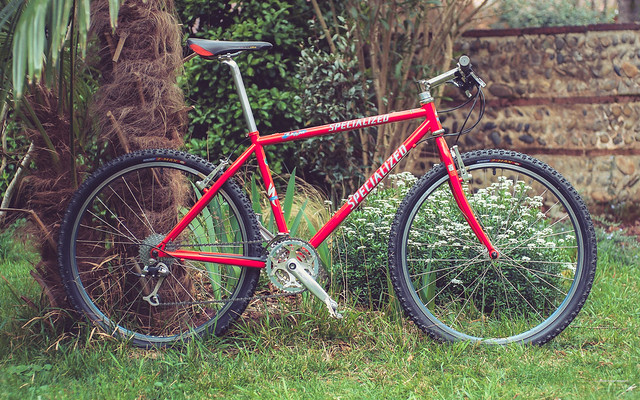 SPeCiaLiZeD S-WoRKS STeaL TeaM 1996