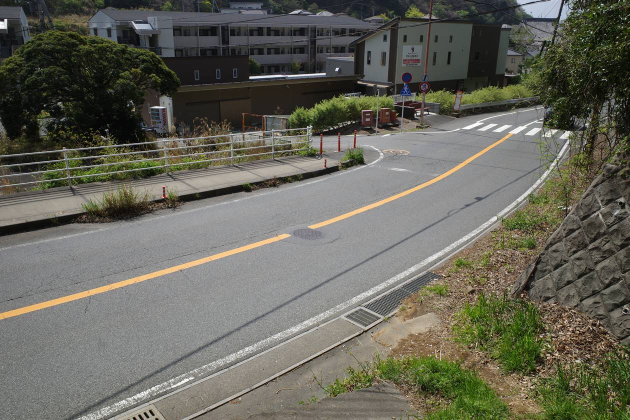 香貫山から道路へ下山