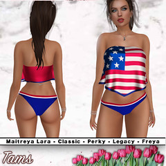 VTop and Bikini Bottom - US Flag