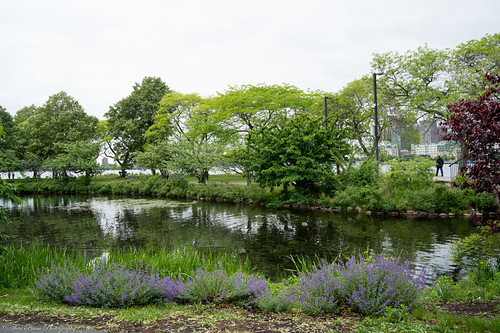 The idyllic Storrow Lagoon