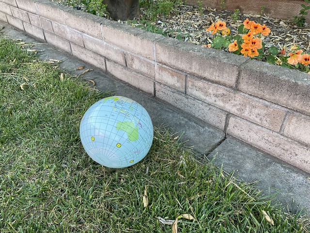 Neighbor's beach ball thrown in my backyard