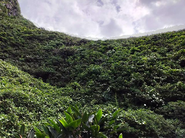 「基隆嶼 」(Keelung Islet)，Keelung, North Taiwan, Apr 19, 2021, SJKen