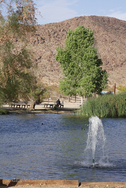 The Lake & Fountain at Joshua Tree Lake RV & Campground