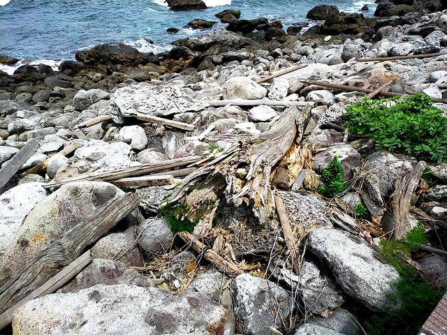 「基隆嶼 」(Keelung Islet)，Keelung, North Taiwan, Apr 19, 2021, SJKen