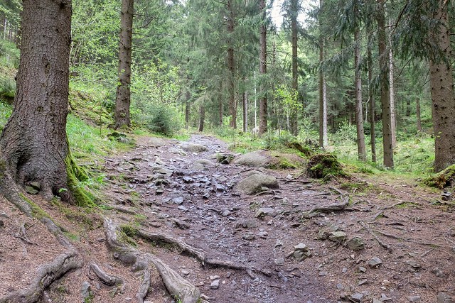 ROMKERHALL - A TYPICAL HARZ TRAIL