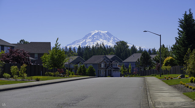 Neighborhood View of Mount Rainier!