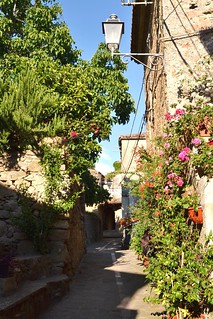 Vicoli fioriti del Sud d'Italia. Flowered lanes in the small villages of the South of Italy