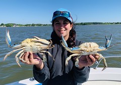 Photo of woman holding two blue crabs