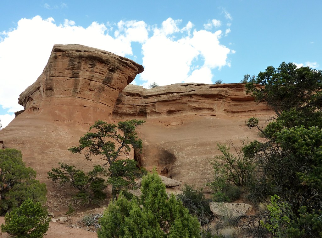 Rochers du Colorado - Fruita Canyon