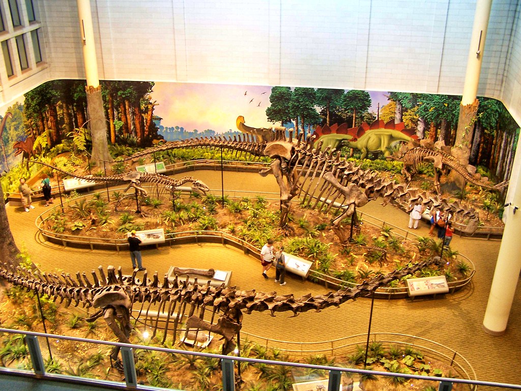 Carnegie Museum of Natural History’s core exhibition, Dinosaurs in Their Time, features over 230 specimens, of which approximately 75% are original fossils = Pittsburg  Pennyslvania.-- United States
