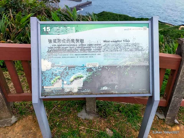 「望幽谷」(Wangyou  Valley),Keelung, North Taiwan, Apr 19, 2021.