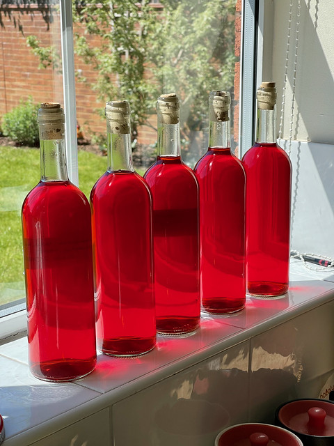 Bottled home-made wine