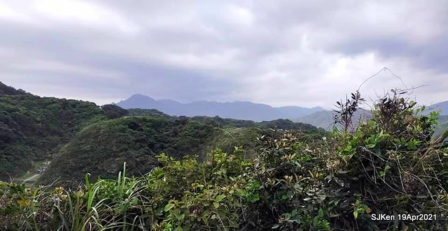 「望幽谷」(Wangyou  Valley),Keelung, North Taiwan, Apr 19, 2021.